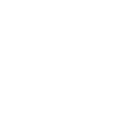 WISE Logo